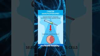 What is cancer immunotherapy  cancer [upl. by Corneille]