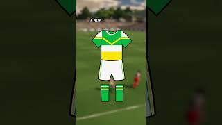 Offaly Kit County Colours Gaelic Football amp Hurling [upl. by Bannon]