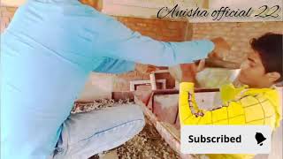 Bathroom FormWork roof concrete casting youtubeshortsshortvideo viralvideo trendinshort skills [upl. by Simonne]