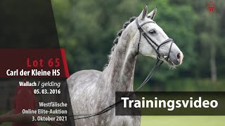 62 EliteAuktion Training Lot 65 Carl der Kleine HS v Cornets IberioSterling [upl. by Mae22]