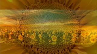 Nana Mouskouri  Le Tournesol [upl. by Htederem]