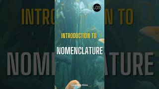 Nomenclature  The Living World  Class 11 Biology [upl. by Naes]