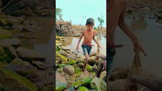 Fish Pakadna Video  Survival Fishing  rkji shorts villagelife [upl. by Annawoj]