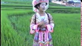 Kwv TxhiajThaam Txuj  Xyawm Xyooj  Hmong Miao Folk Song 苗族山歌 熊万美 [upl. by Weasner]