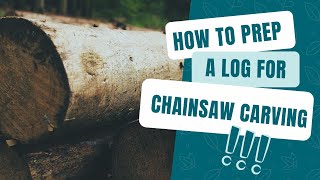 How to Prep a Log for Chainsaw Carving  Wood Sculpture Tips [upl. by Ahsineb451]