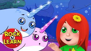 Baby Narwhal  Fun Activity Song  Learn About Ocean Creatures for Kids [upl. by Anohs]