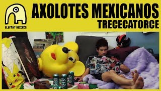 AXOLOTES MEXICANOS  Trececatorce Official [upl. by Arannahs942]