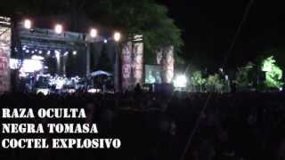 Raza Oculta  Negra Tomasa Live HD [upl. by Noseyt]