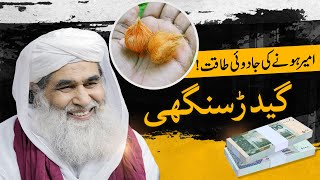 Gidar Singhi a Miracle  Maulana Ilyas Qadri  امیر ہونے کی جادوئی طاقت گیدڑ سنگھی [upl. by Alemac380]