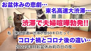 お盆休みの悲劇…地獄の東名高速大渋滞で夫婦喧嘩…コロナ禍とコロナ後の違い 猫ミーム 猫マニ お盆休み [upl. by Eitsud]