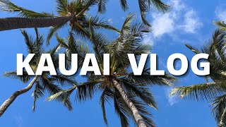 life with derrick KAUAI HAWAII VLOG  january 2023 [upl. by Enyallij]