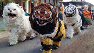 Live KIRAB CAN MACANAN SINGO MANGGALA amp DRUMBAND MAONG KEMBAR DI MENGEN [upl. by Gina]