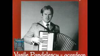 Vasile Pandelescu  acordeon  Sârba de la malul spart [upl. by Hgieloj122]