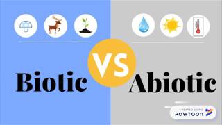 Biotic VS Abiotic Factors I Timely Tutor [upl. by Mabelle716]