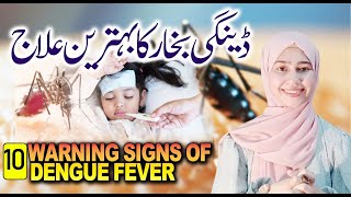 dengue fever symptoms urdu  infection free zone  dengue mosquito sound  dengue fever treatment [upl. by Ode487]