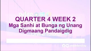 Mga Sanhi at Bunga ng Unang Digmaang Pandaigdig Part2  Grade 8 Araling Panlipunan Quarter 4 Week 2 [upl. by Ellita962]