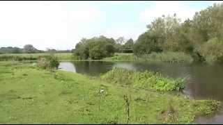 DORSET STOUR CANFORD BRIDGE WIMBORNE DORSET [upl. by Aicetel]