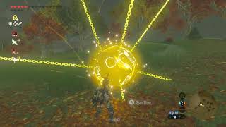 Korok seeds  Akkala Wilds  Akkala Tower 5  Zelda BOTW [upl. by Eberle671]