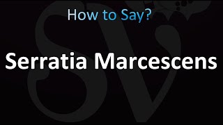 How to Pronounce Serratia Marcescens correctly [upl. by Constantina]