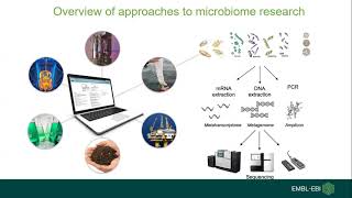 Metagenomic Data Analysis Workflows In CWL [upl. by Karee]