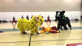 2 Lion Routine  2016 East Coast Intercollegiate Lion Dance Competition [upl. by Duffy142]