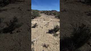 102624 hike New Mexico rockydesert terrain nature desertmountain video canyon newmexico [upl. by Anitreb]