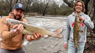 Catfishing the Flooded Creek [upl. by Weixel12]