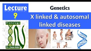 9aX llinked and autosomal linked diseases Part1Genetics [upl. by Yllod18]