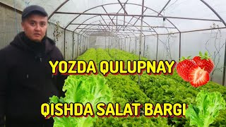 ISSIQXONADA SALAT BARG EKIB ZOR DAROMAD QILISH [upl. by Larrisa]