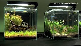 Little Big World of Aquarium  Planted nanoaquariums pt4 [upl. by Malynda]