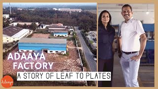 Journey of a Leaf to Plates An amazing story of Palm Leaf Plate Manufacturer Adaaya [upl. by Aikem]