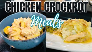 Cheap amp Fancy Crockpot Dinners  The EASIEST Tasty Slow Cooker Recipes  Simple Recipes [upl. by Neibart]