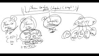 Paraproteinemia MPNMDS [upl. by Howlan]