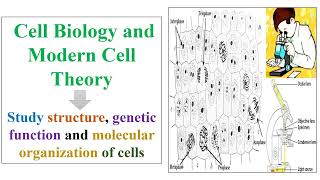 Fundamental of Cell Biology and Modern Cell Theory [upl. by Brockwell]