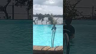 Ananda Cherai Resort Kochi Kerala [upl. by Tychonn357]