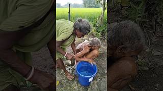 Old age couple life 😟 oldage poor couplelife villagelife rurallife love dukhinimayerjibon [upl. by Shepperd488]