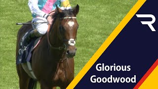 FRANKEL makes the 2012 Sussex Stakes a onehorse race  Glorious Goodwood  Racing TV [upl. by Eissej]