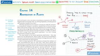 Chapter 14 Respiration in plants part 01HINDINCERT level [upl. by Ecadnarb]