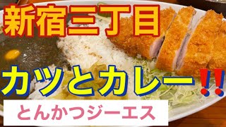 【新宿三丁目】とんかつジーエス カツとカレー大盛編 虎ノ門➡️新宿三丁目 シャバシャバカレー‼️ [upl. by Derf830]