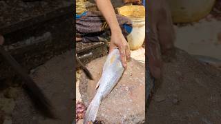 Delicious Giant Poa Fish Cutting Skills In Expert Fish Cutter Live In Fish Market part11 shorts [upl. by Herwick]