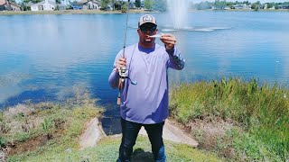 chasing monster bass in orlando florida 😱 freeloader time and big worm 🔥 [upl. by Pisarik891]