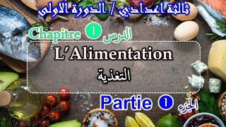 composants des aliments la digestion labsorption rôles des aliments [upl. by Anayik]