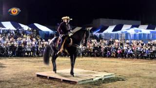 Concurso del caballo bailador expo Luvianos 2015 Parte 2 [upl. by Liakim]