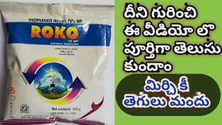 ROKO SYSTEMIC FUNGICIDE  thoiponet mythail 70wp  మిరపలో పండాకు తెగులు నివారణ  Mirchi Fungicides [upl. by Elleunamme380]