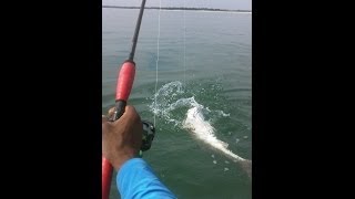 Kayak Fishing at the Murrells Inlet SC Jetties [upl. by Yarb317]