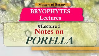 Lecture 5  Porella Life Cycle Important Bryophytes  Lecture Notes [upl. by Liebowitz]