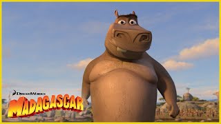 Creo que le gustas a Moto Moto 😘  DreamWorks Madagascar en Español Latino [upl. by Lorin623]