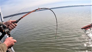 Monster Fish NEARLY BREAKS FISHING ROD Winter Fishing [upl. by Nahgrom]