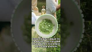 🌿 인진쑥 이렇게 먹으면 효과 UP 💯 🌿 How to Maximize Artemisia Capillaris Benefits 💯 [upl. by Haddad]