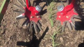 Steketee finger weeder slow motion in green onions [upl. by Fernandez]